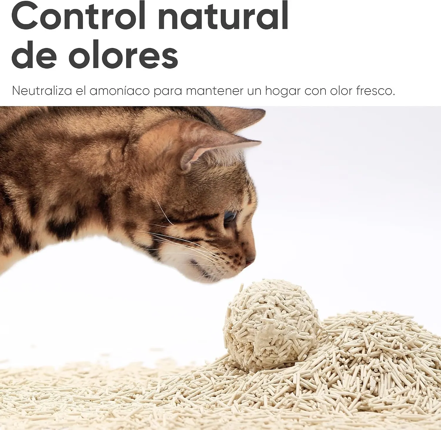 ¿Merece la pena Arena de tofu para gatos FUKUMARU 10,8 kg? Análisis a fondo — imagen 5